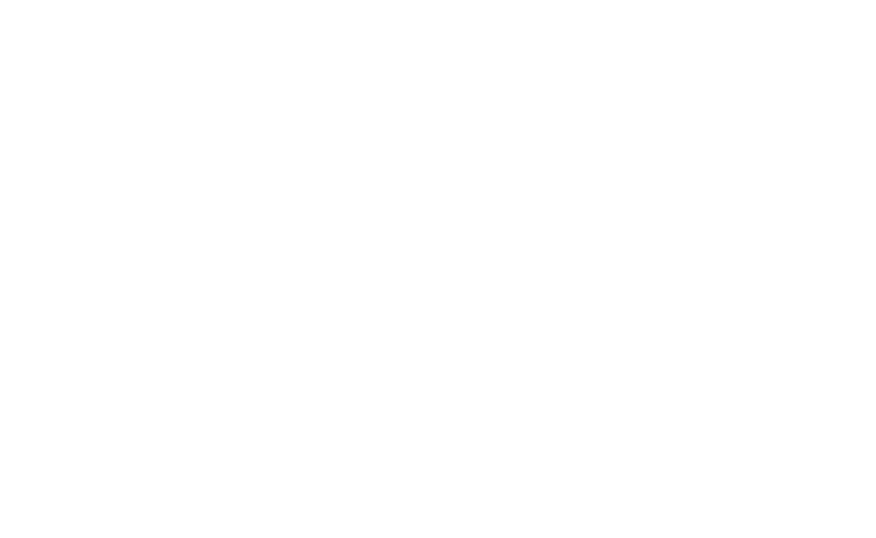 E Mergency Logo white
