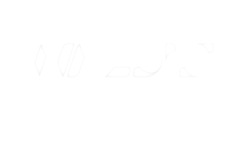 Waldis Logo white