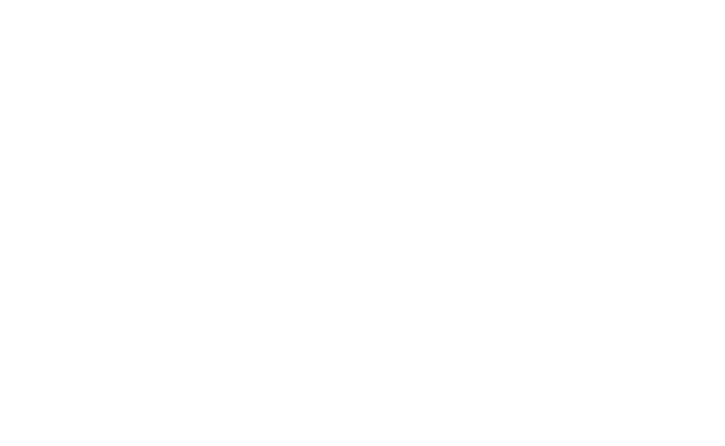 Logo finser