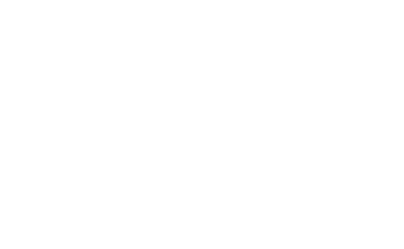 Logo stadelmann