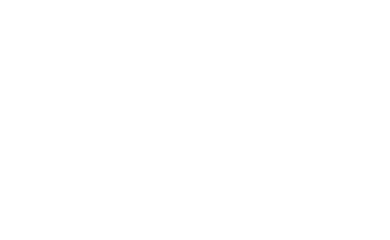 Logo taucherli