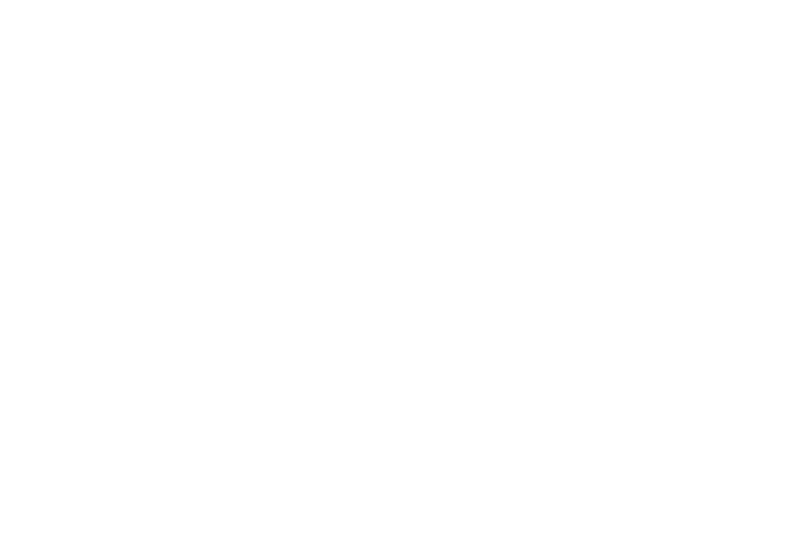 Reist telekom neu