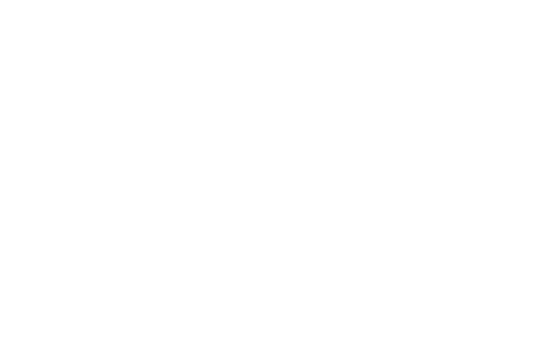 Volponi logo