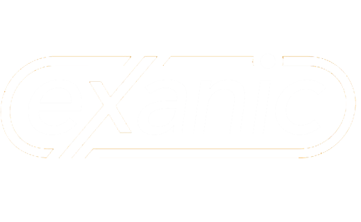 Exanig logo 520x320