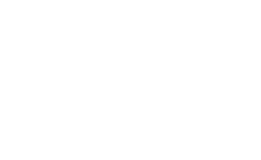 Logo straumann