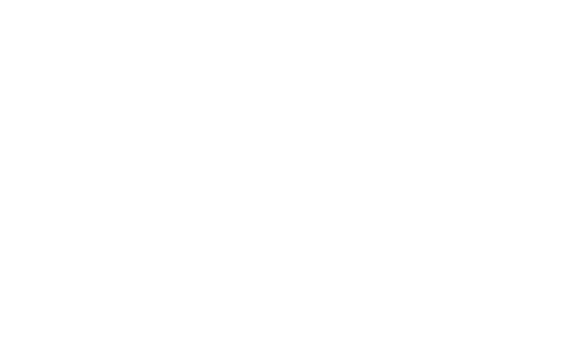 Sb vital logo