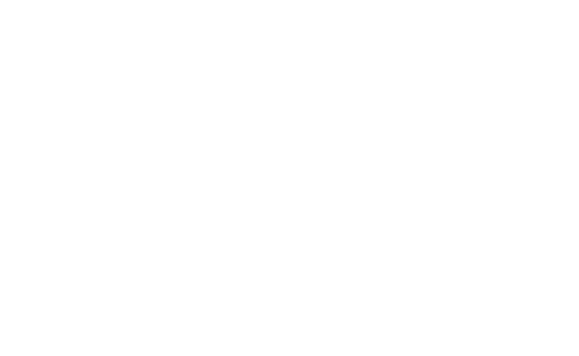 Volponi logo