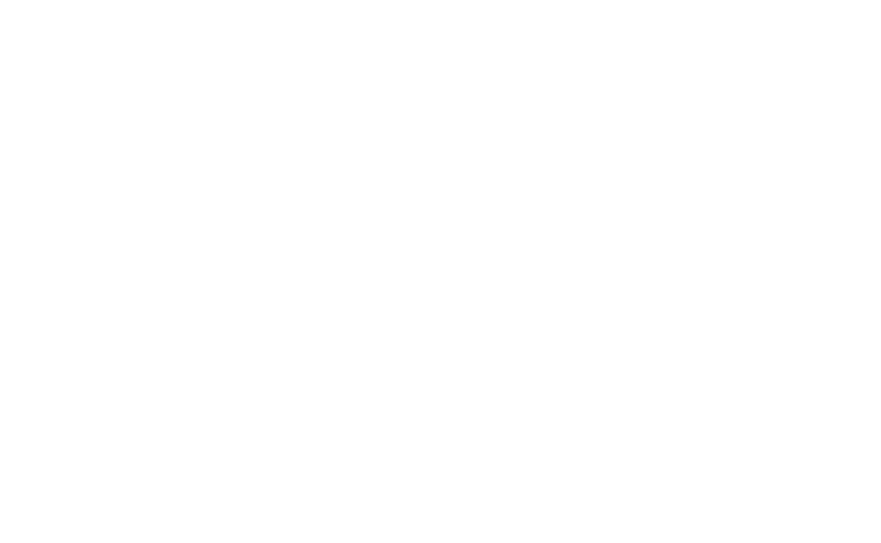 Logo bachmann