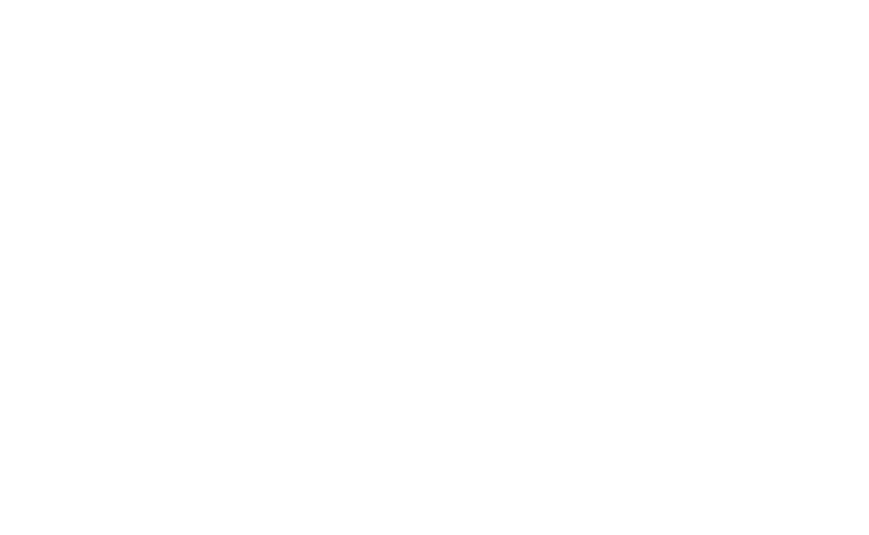 Logo bright